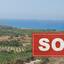 3 bedroom detached house sold coral bay paphos 1100271 thumbnail 1332870