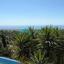 4 bedroom detached house for sale kamares tala paphos 8791271 thumbnail 16672404
