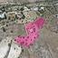 land for sale kato moni nicosia 7872271 thumbnail 12911019