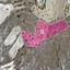land for sale kato moni nicosia 7872271 thumbnail 12911023