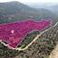 land for sale psematismenos larnaca 8629271 thumbnail 15867025