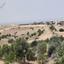 land for sale vyzakia nicosia 1230271 thumbnail 7343296
