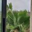 2 bedroom apartment for sale germasogeia limassol 1843371 thumbnail 6612599