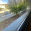 3 bedroom apartment for rent strovolos nicosia 8716471 thumbnail 16317762