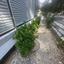 3 bedroom apartment for rent strovolos nicosia 8716471 thumbnail 16683314