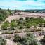 land for sale alethriko larnaca 1536471 thumbnail 5654741