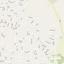 plot for sale kallithea nicosia 8587471 thumbnail 15903090