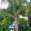 2 bedroom apartment for sale kalavasos larnaca 8844571 thumbnail 17079676