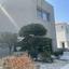 3 bedroom detached house for sale agios athanasios limassol 8747571 thumbnail 16453521