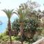 4 bedroom detached house for sale coral bay paphos 1898571 thumbnail 14218329