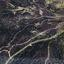 3679 SQM Land for sale in Mitsero, Nicosia thumbnail 16059719