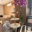 3 bedroom apartment for rent agios ioannis limassol 8827671 thumbnail 16984803