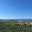 7 bedroom detached house for sale peyia paphos 1898671 thumbnail 14220220