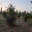 land for sale aradippou larnaca 1154671 thumbnail 16254160