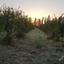 land for sale aradippou larnaca 1154671 thumbnail 16254162