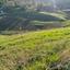 land for sale choletria paphos 945671 thumbnail 17102722