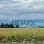 land for sale zygi larnaca 8913671 thumbnail 17613606