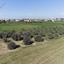 land for sale ergates nicosia 1020771 thumbnail 3400274