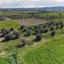 land for sale ergates nicosia 1020771 thumbnail 3410731