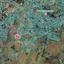 land for sale geri nicosia 8809771 thumbnail 16816631