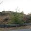 land for sale pano pyrgos nicosia 945771 thumbnail 15603375