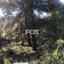 land for sale pera pedi limassol 1147771 thumbnail 5546316