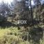 land for sale pera pedi limassol 1147771 thumbnail 5546318