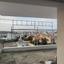 3 bedroom penthouse for sale latsia nicosia 7500871 thumbnail 10630653
