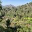 land for sale palaichori oreinis nicosia 1751871 thumbnail 15597934