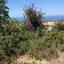 plot for sale lofos tala paphos 1680871 thumbnail 10266022