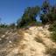 plot for sale lofos tala paphos 1680871 thumbnail 10266024