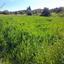1654 SQM Plot for sale in Agia Varvara Nicosias, Nicosia thumbnail 16159268
