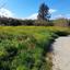 plot for sale agia varvara nicosias nicosia 1061971 thumbnail 16159256