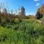 plot for sale agia varvara nicosias nicosia 1061971 thumbnail 16159258