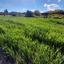 plot for sale agia varvara nicosias nicosia 1061971 thumbnail 16159262
