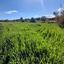 plot for sale agia varvara nicosias nicosia 1061971 thumbnail 16159263