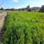 plot for sale agia varvara nicosias nicosia 1061971 thumbnail 16159264