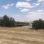 plot for sale alampra nicosia 1150971 thumbnail 5125186