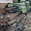 land for sale oroklini larnaca 1197081 thumbnail 10455784