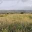 land for sale vouni limassol 1425081 thumbnail 15600367