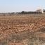 plot for sale avgorou famagusta 7543081 thumbnail 9805825