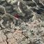 1840 SQM Land for sale in Skarinou, Larnaca thumbnail 16192547