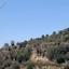 land for sale eledio paphos 8396181 thumbnail 16002205