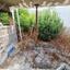 5 bedroom bungalow for sale tsada paphos 9013281 thumbnail 18447085