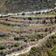 land for sale pachna limassol 1336381 thumbnail 15600418