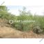 plot for sale kornos larnaca 1685381 thumbnail 14104927