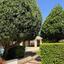 4 bedroom detached house for sale aphrodite hills paphos 1681481 thumbnail 4376032