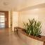 2 bedroom apartment for rent kato polemidia limassol 8903581 thumbnail 17554794