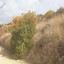 land for sale agios ambrosios limassol 8630581 thumbnail 16656764