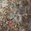 land for sale analiontas nicosia 1145581 thumbnail 3341012
